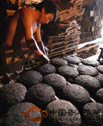 普洱茶 普洱 茶廠